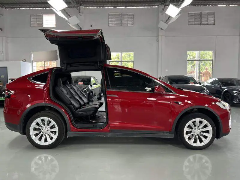 Model X 2019 Standard Range Edition — 8