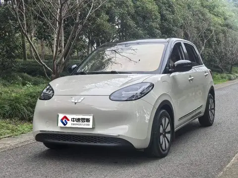 Wuling Bingo 2024 333km Enjoy Edition