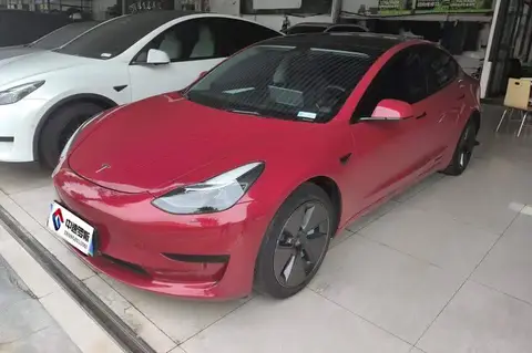 Model 3 2021 Standard Range RWD Upgraded 3D6