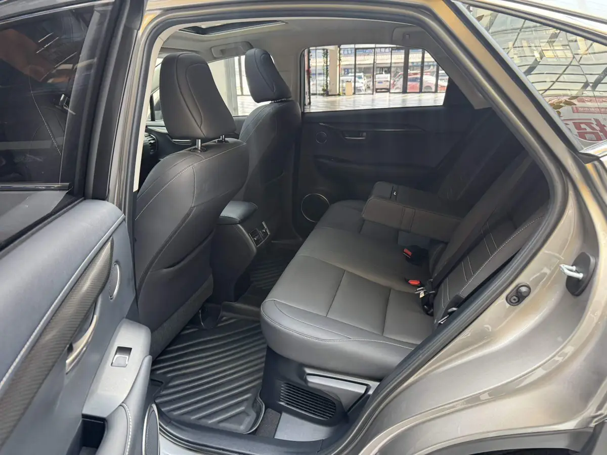 Lexus NX 2020 200 All-wheel Drive Frontier Edition National VI — 17