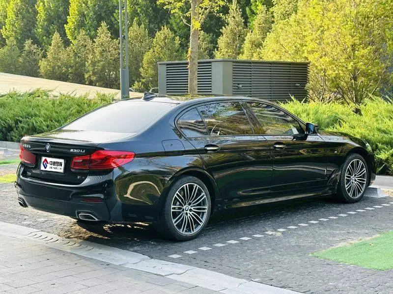 BMW 5 Series 2018 facelift 530Li xDrive M Sport Package — 6