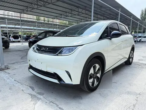dolphin 2025 Smart Driving Edition 420km Free Edition