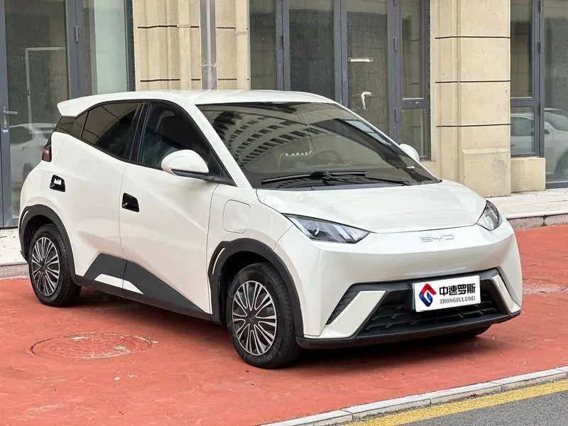 Seagull 2024 Glory Edition 305km Vitality Edition — 3