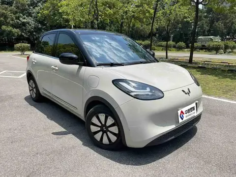 Wuling Bingo 2024 333km Lingxi Internet Model