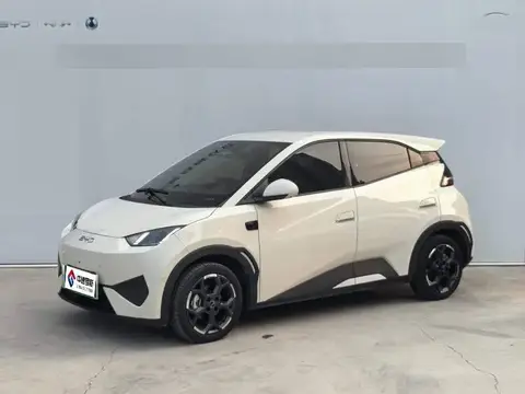 Seagull 2025 Smart Driving Edition 405km Flying Edition