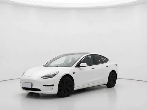 Model 3 2021 Standard Range RWD Upgraded 3D6