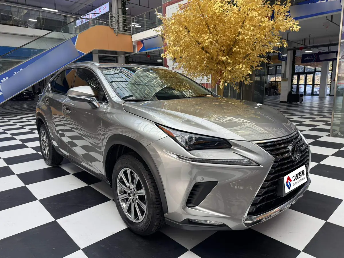 Lexus NX 2020 200 All-wheel Drive Frontier Edition National VI — 3