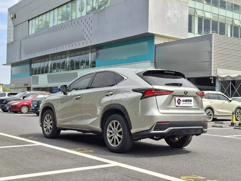 Lexus NX 2020 200 Front-Drive Fengyi Edition National VI — 4