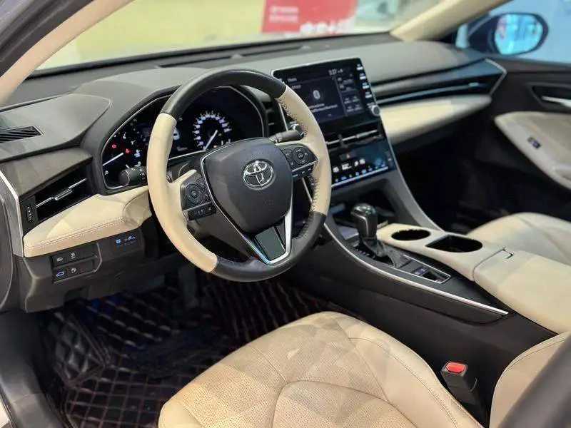 Asian Dragon 2019 2.0L Luxury Edition National VI — 11