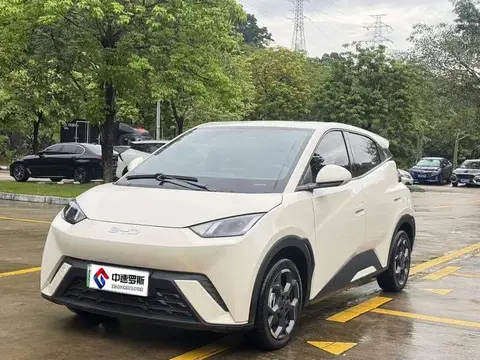 Seagull 2024 Honor Edition 305km Freedom Edition