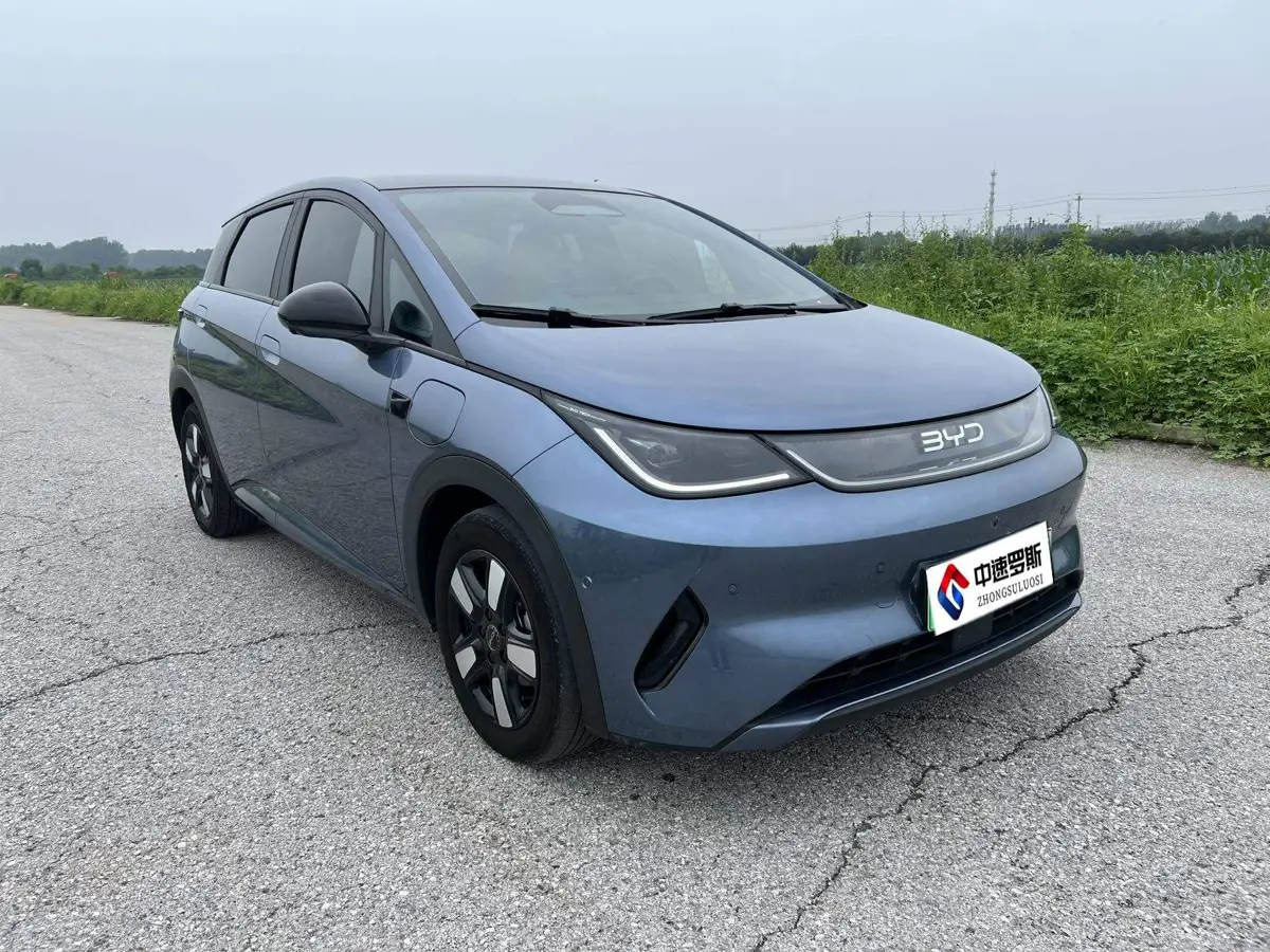 dolphin 2025 Smart Driving Edition 410km Fashion Edition — 3