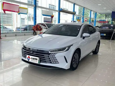 Destroyer 05 2024 Honor Edition DM-i 55KM Luxury