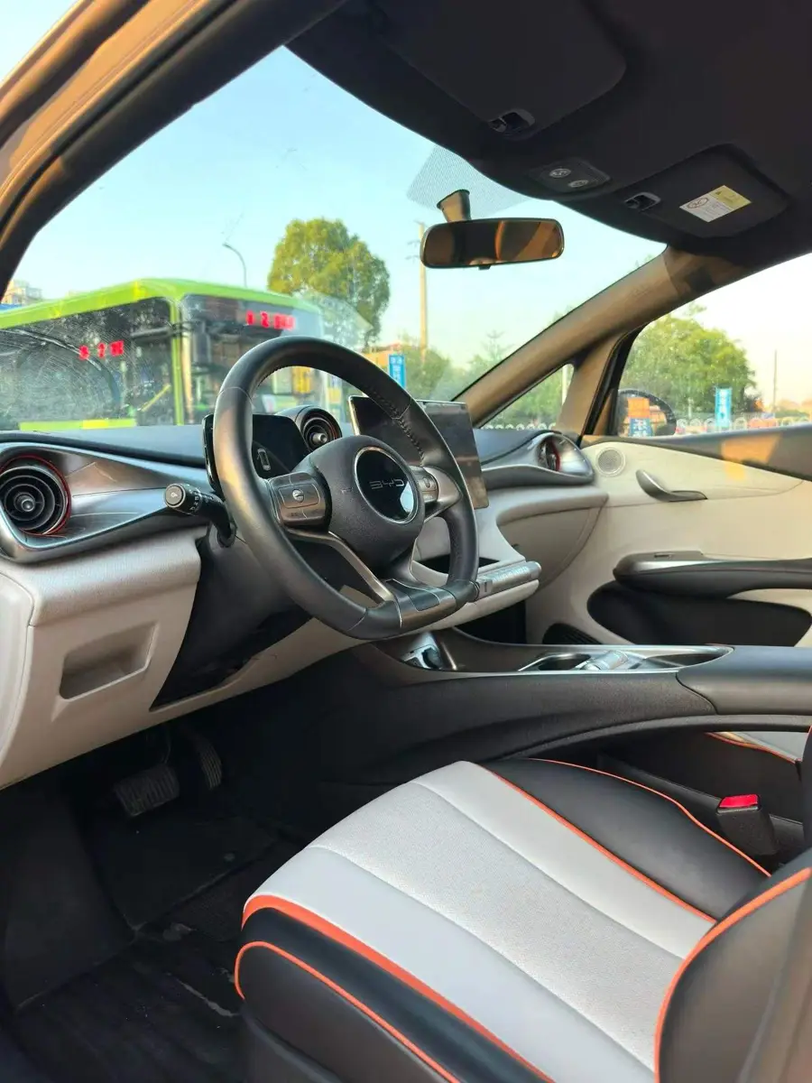 dolphin 2021 405km Freedom Edition — 7