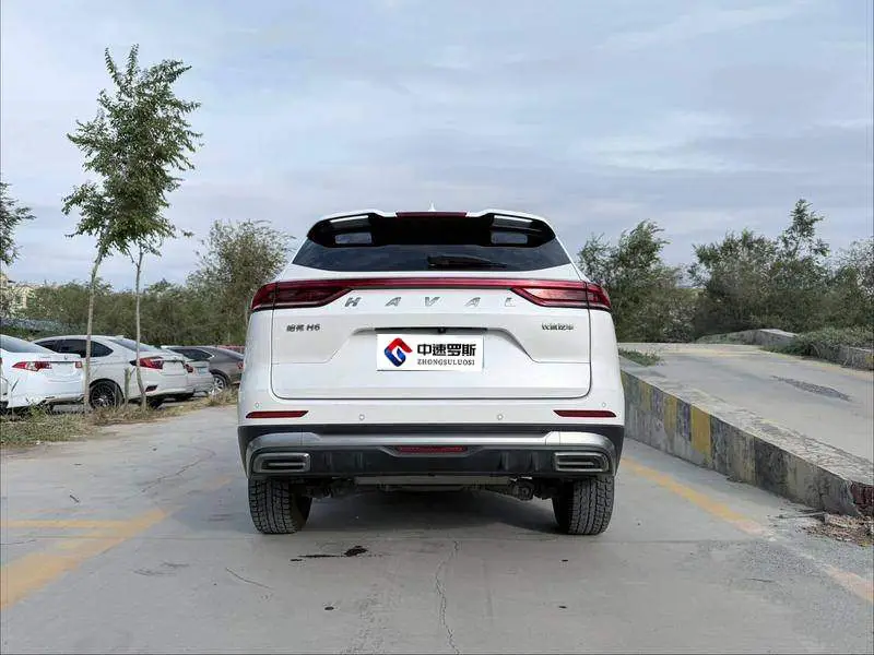 Haval H6 2021 National Trend Edition 1.5T Automatic City Edition — 3