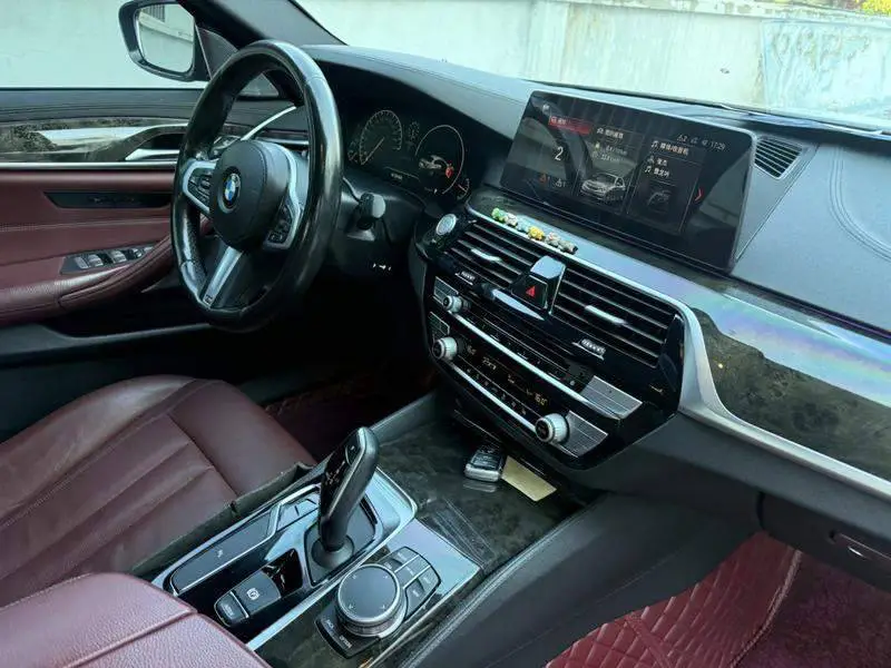 BMW 5 Series 2019 530Li xDrive M Sport Package — 8