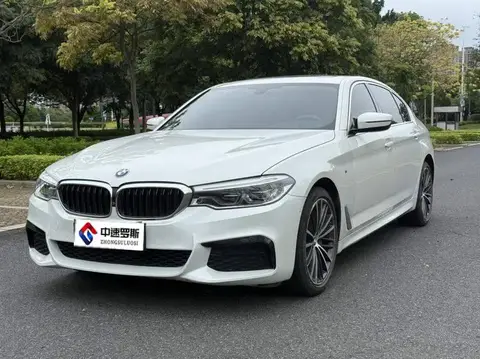 BMW 5 Series 2020 530Li Leading M Sport Package