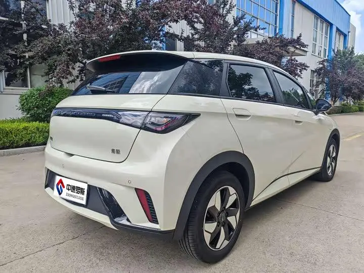 dolphin 2025 420km Freedom Edition — 4