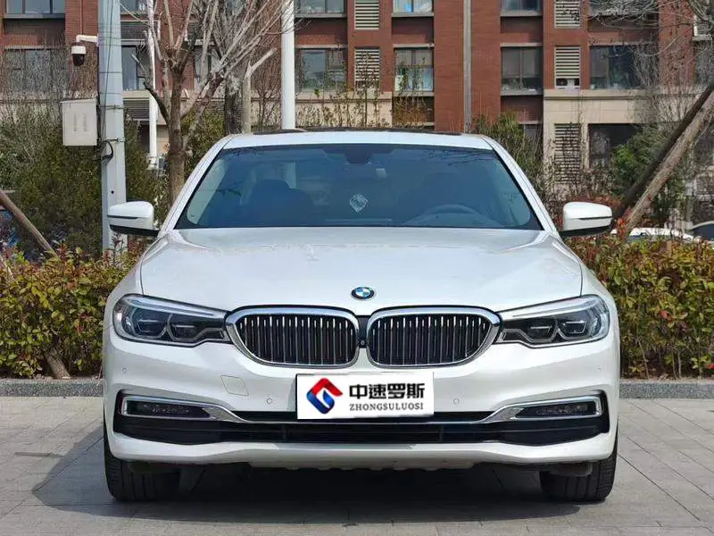 BMW 5 Series 2019 530Li Premium Luxury Package — 2