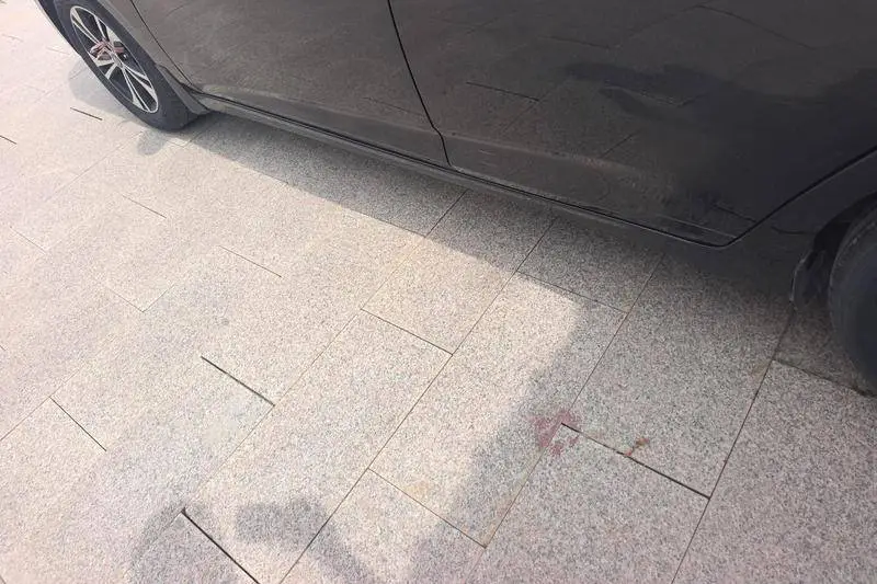 Sylphy 2022 1.6L XL CVT Enjoy Edition — 9