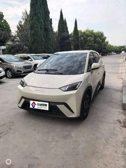 Seagull 2025 Smart Driving Edition 405km Flying Edition