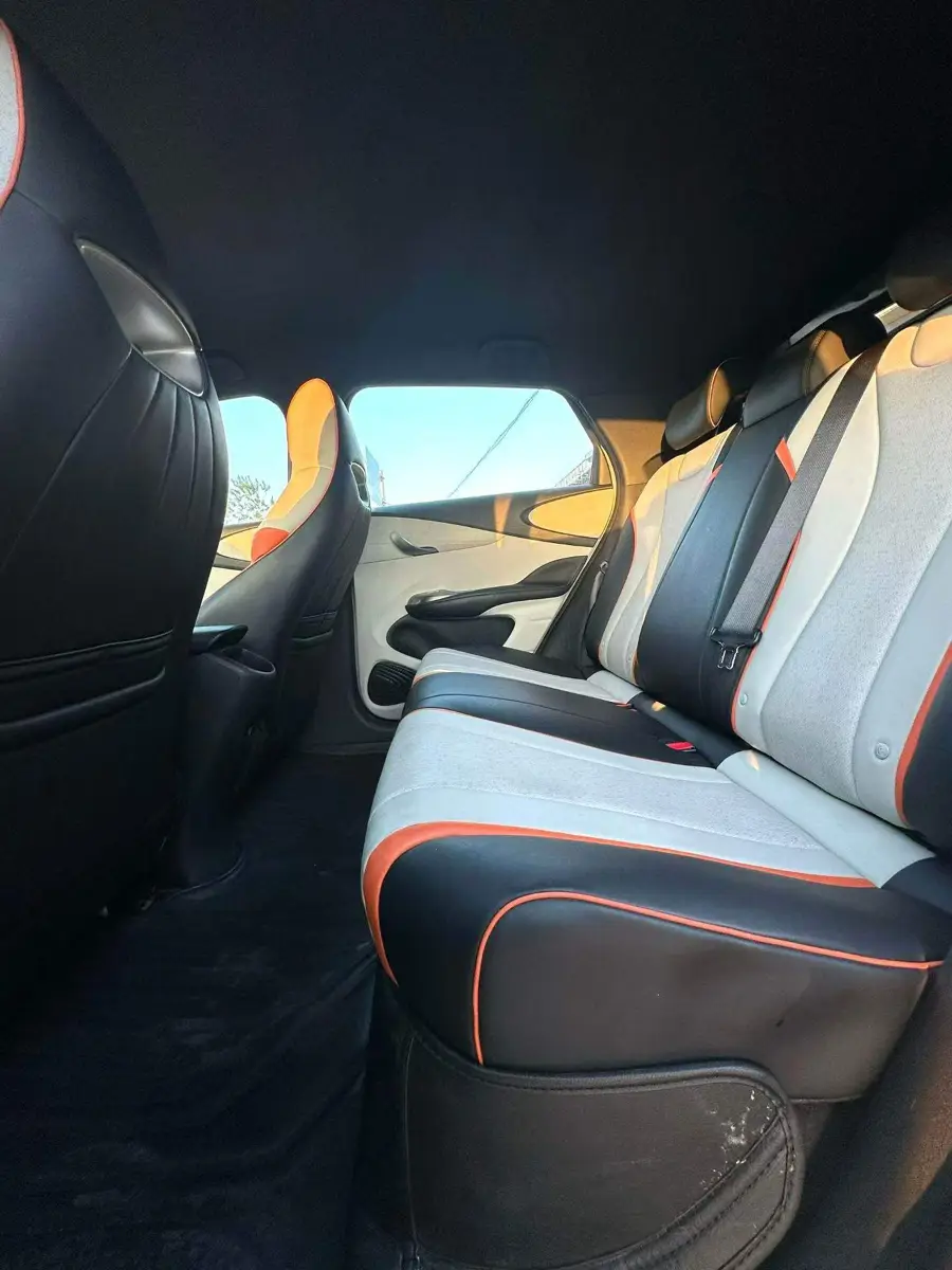 dolphin 2021 405km Freedom Edition — 11