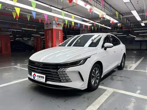 Destroyer 05 2024 Honor Edition DM-i 55KM Luxury