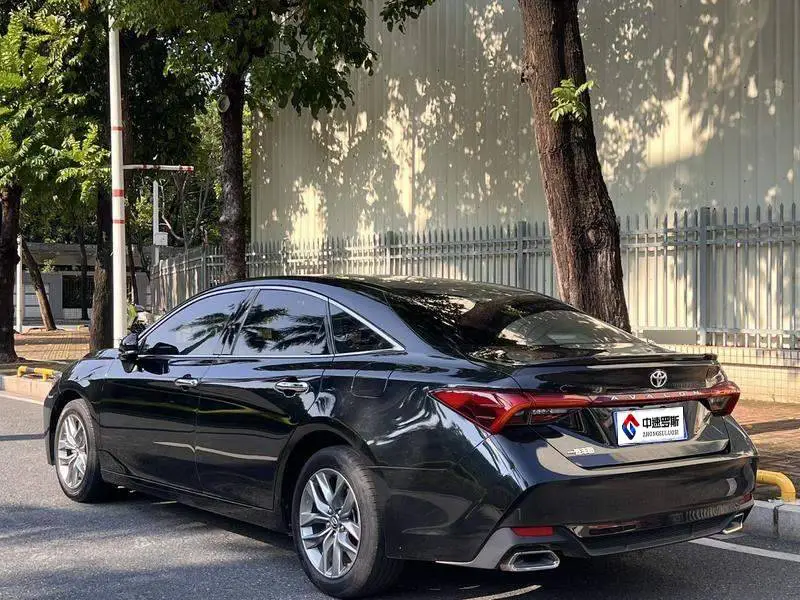 Asian Dragon 2019 2.0L Luxury Edition National VI — 4