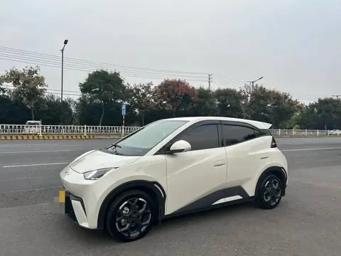 Seagull 2025 Smart Driving Edition 405km/h Comfort Edition