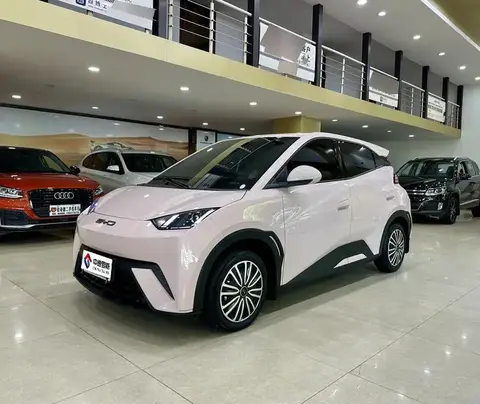 Seagull 2023 Vitality Edition