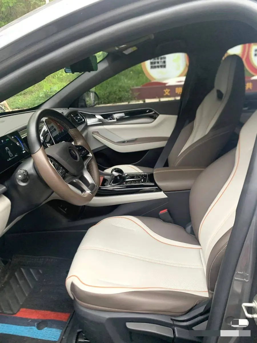 Qin PLUS 2023 Champion Edition EV 510KM Leading Edition — 3