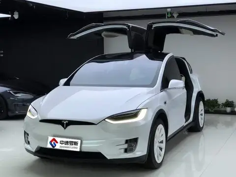 Model X 2019 long-range version