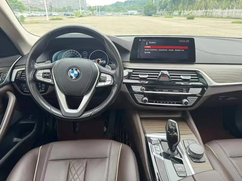 BMW 5 Series 2019 530Li Leading Luxury Package — 7