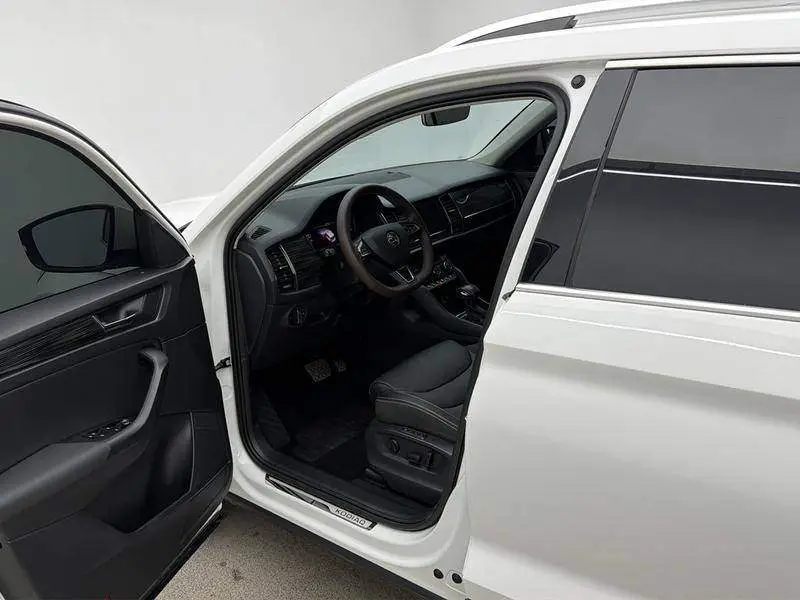 Kodiak 2020 TSI330 5-seater 2WD Luxury Edition — 17