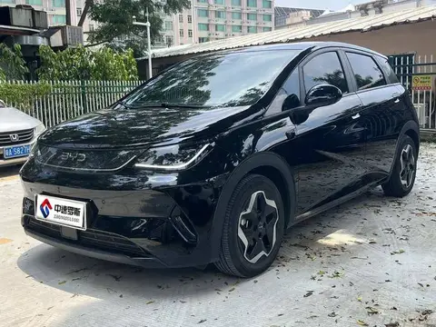 dolphin 2025 Smart Driving Edition 420km Free Edition