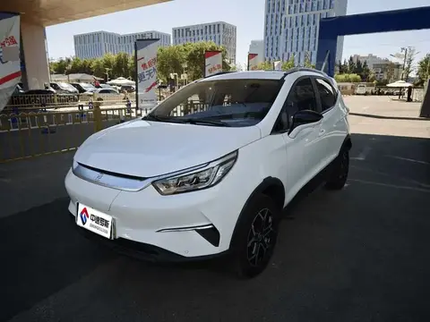 Yuan Pro 2021 Lifetime Edition