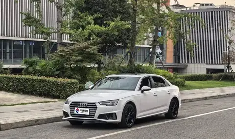 Audi A4L 2019 40 TFSI Fashion National VI