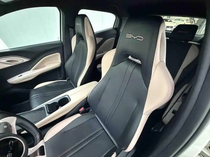 Seagull 2024 Glory Edition 305km Vitality Edition — 12