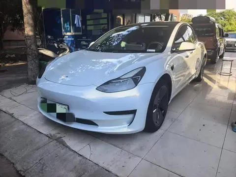 Model 3 2021 Standard Range RWD Upgraded 3D6