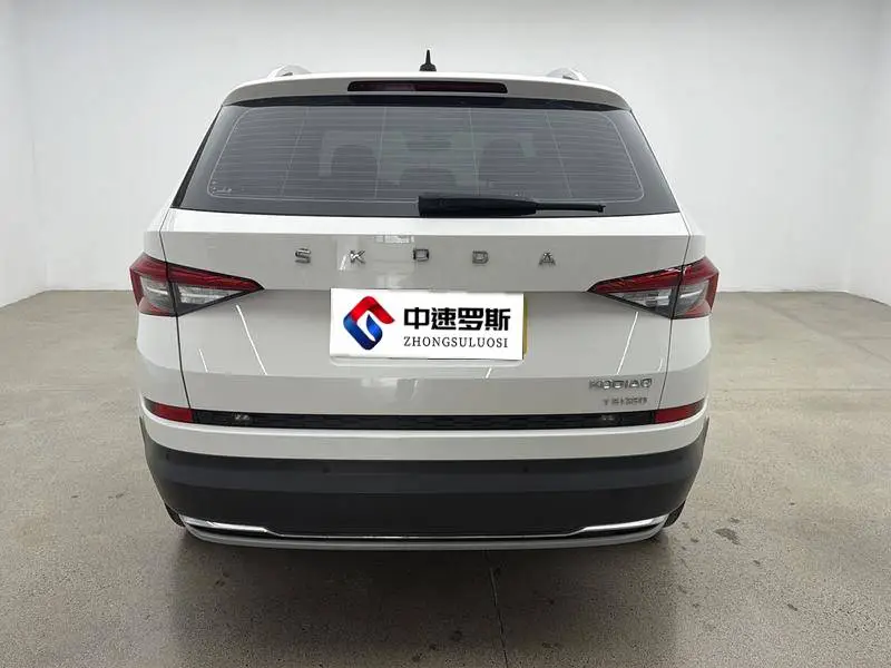 Kodiak 2020 TSI330 5-seater 2WD Luxury Edition — 6