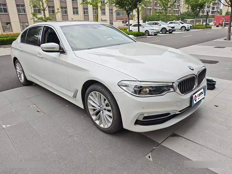 BMW 5 Series 2020 530Li Premium Luxury Package — 3
