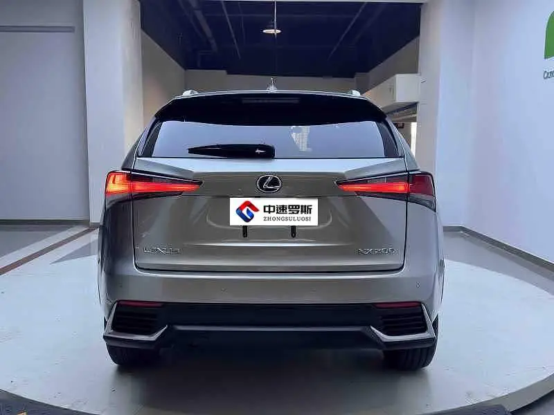 Lexus NX 2020 200 All-wheel Drive Front Edition National V — 6