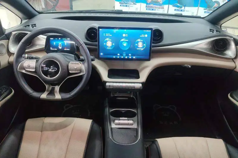 dolphin 2025 420km Freedom Edition — 12