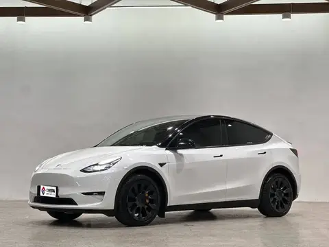 Model Y 2021 Long Range All-Wheel Drive