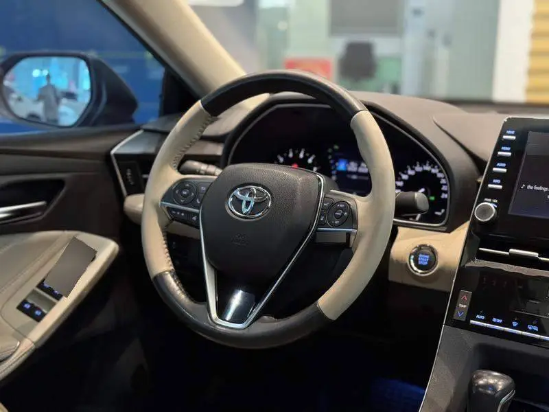 Asian Dragon 2019 2.0L Luxury Edition National VI — 13