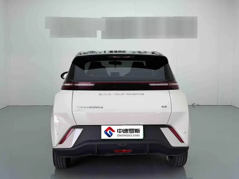 Seagull 2024 Glory Edition 305km Vitality Edition — 5