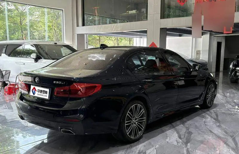 BMW 5 Series 2018 530Li Leading M Sport Package — 6