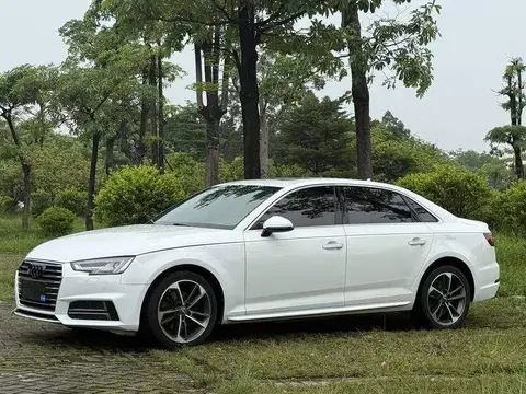 Audi A4L 2019 40 TFSI Progressive National VI