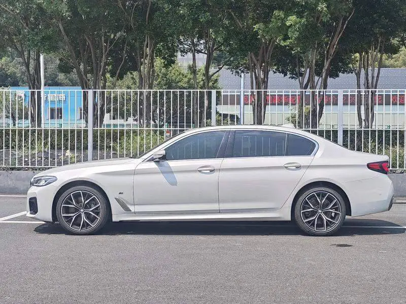 BMW 5 Series 2021 530Li Premium M Sport Package — 4