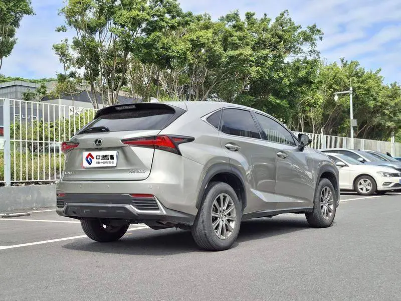 Lexus NX 2020 200 Front-Drive Fengyi Edition National VI — 6