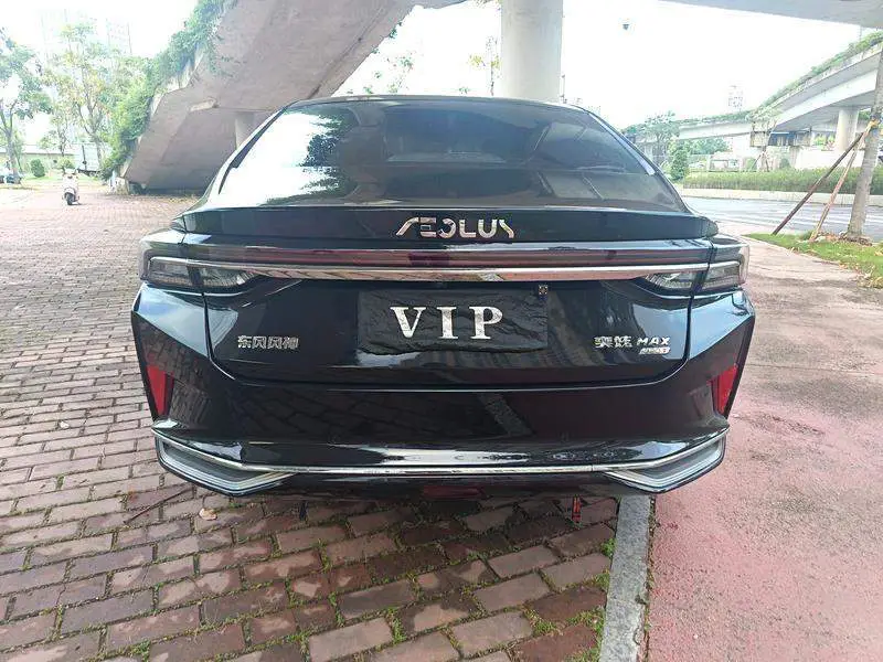 Yixuan MAX 2021 1.5T Super Dad Edition — 4